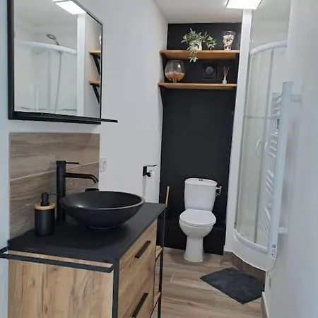 Les Deux Oliviers Holiday home Carcassonne