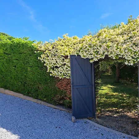 Les Deux Oliviers Carcassonne
