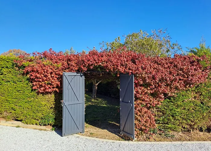 - Каркассонн